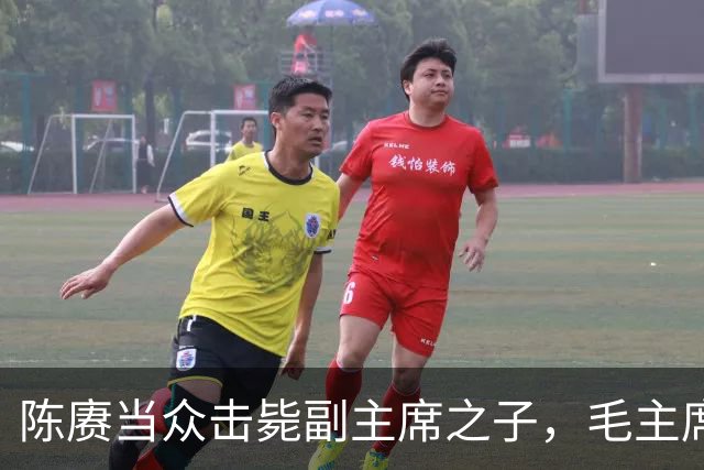 陈赓当众击毙副主席之子，毛主席一言不发，就送了一箱东西